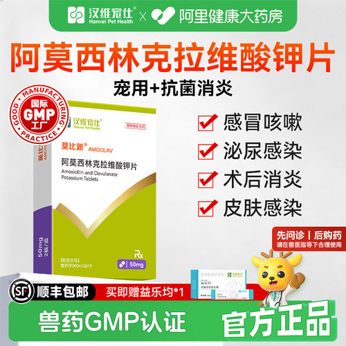 汉维宠仕莫比新阿莫西林克拉维酸钾片宠物猫狗打喷嚏感冒咳嗽50mg