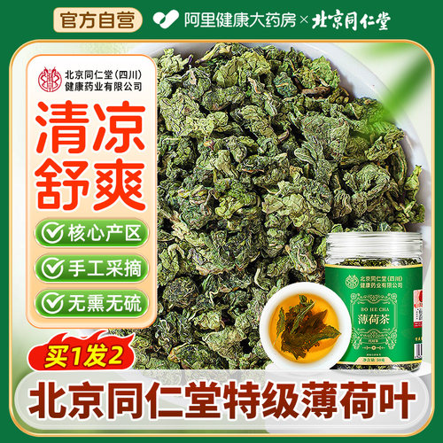 买1发2罐】北京同仁堂新鲜薄荷叶
