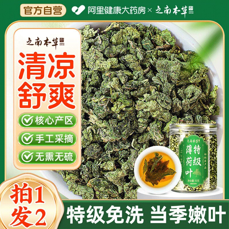 买1发2罐】特级新鲜薄荷茶叶图片