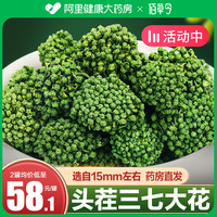 藥房直供三七花正品官方云南文山