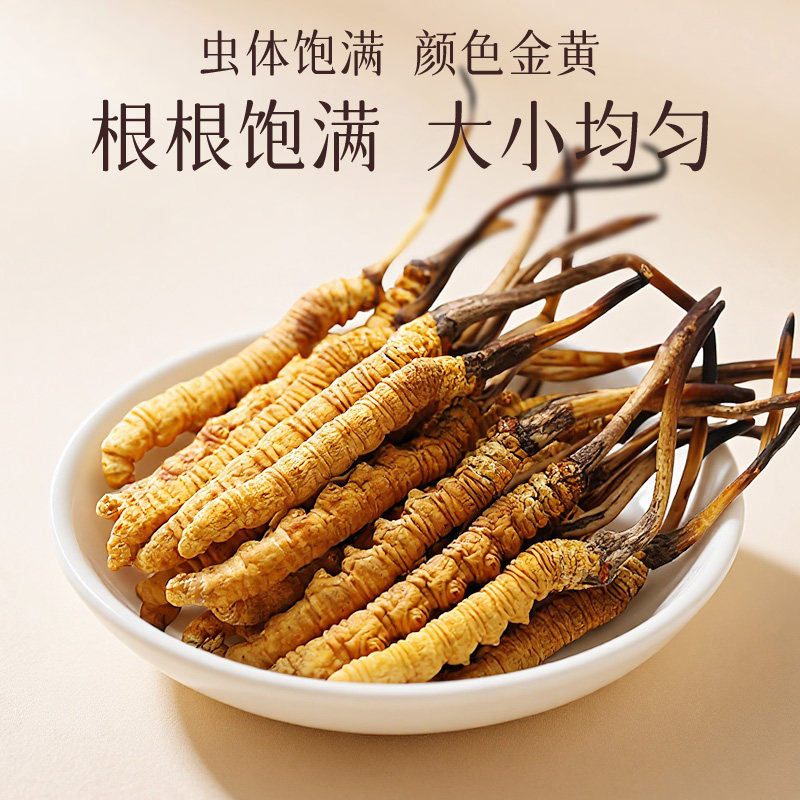 【阿里健康自营】睿生堂冬虫夏草3根/克 1克