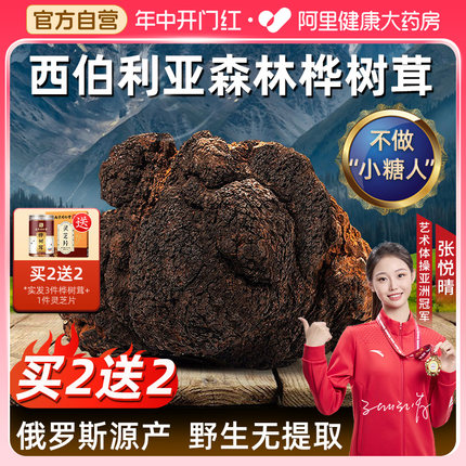 俄罗斯进口原料足树年龄野生大块桦树茸南京同仁堂正品官方旗舰店
