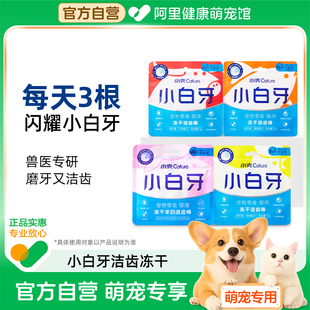 小壳小白牙洁齿冻干猫咪零食磨牙棒幼猫鸡肉味猫洁牙棒 自营