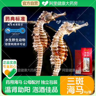 钰宸源三斑海马8g/盒公母配对泡酒中药温肾助阳中药饮片一公一母