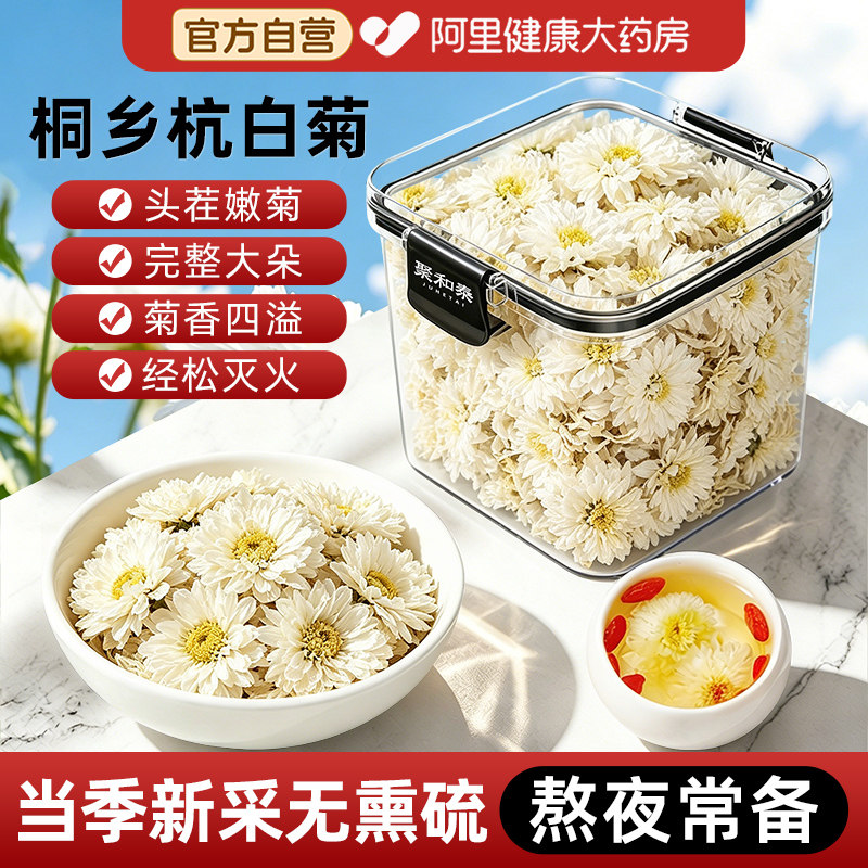 【清热去火】特级杭白菊泡水喝图片