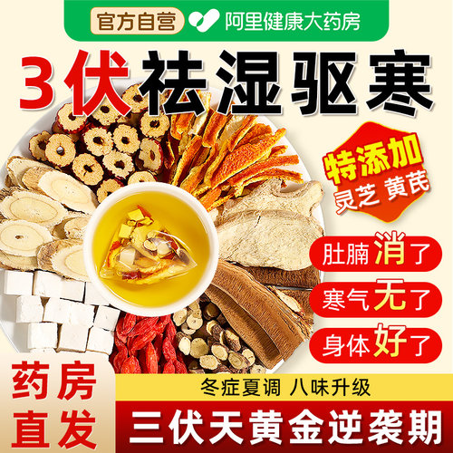 灵芝黄芪陈皮茯苓姜枣茶官方旗舰店正品独立包装三伏天姜枣养生茶