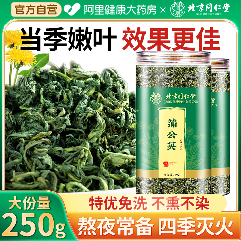 北京同仁堂蒲公英茶特级正品