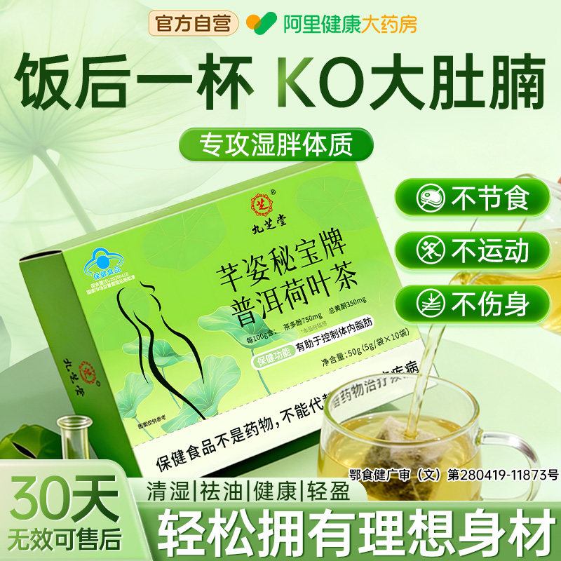 荷叶茶轻体刮油茶去湿气排油全身减肉脂肪促燃排毒女肥正品养生茶
