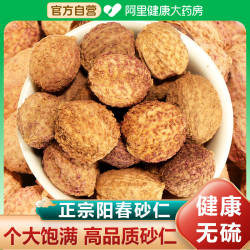 砂仁阳春砂仁果搭砂仁根江春毛砂仁中葯材香料西砂仁可做砂仁糕