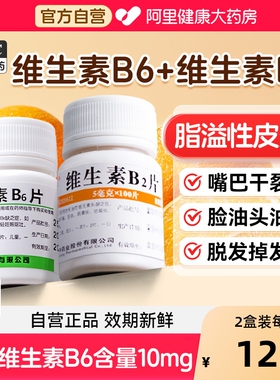 维生素B6片B2片100片脂溢性皮炎维生素b族防脱发掉发嘴巴干裂vb6