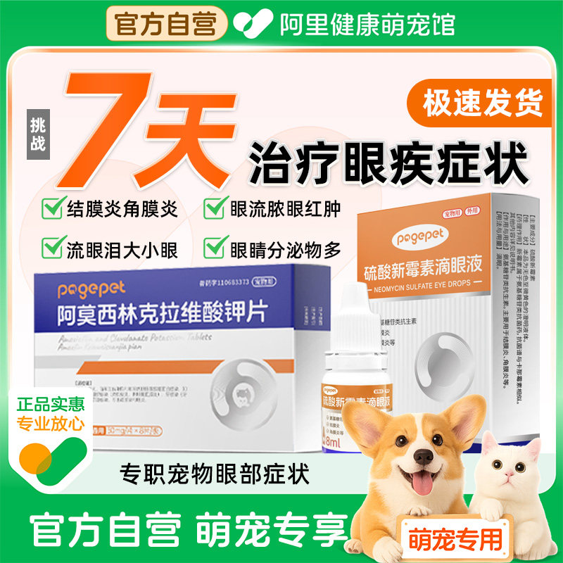 猫咪眼药水硫酸新霉素滴眼液宠物版眼睛发炎流泪眼药水宠物消炎狗,宠物/宠物食品及用品,狗眼/耳/口/鼻疾病药品,淘宝优惠券,粉丝福利购,淘宝优惠卷