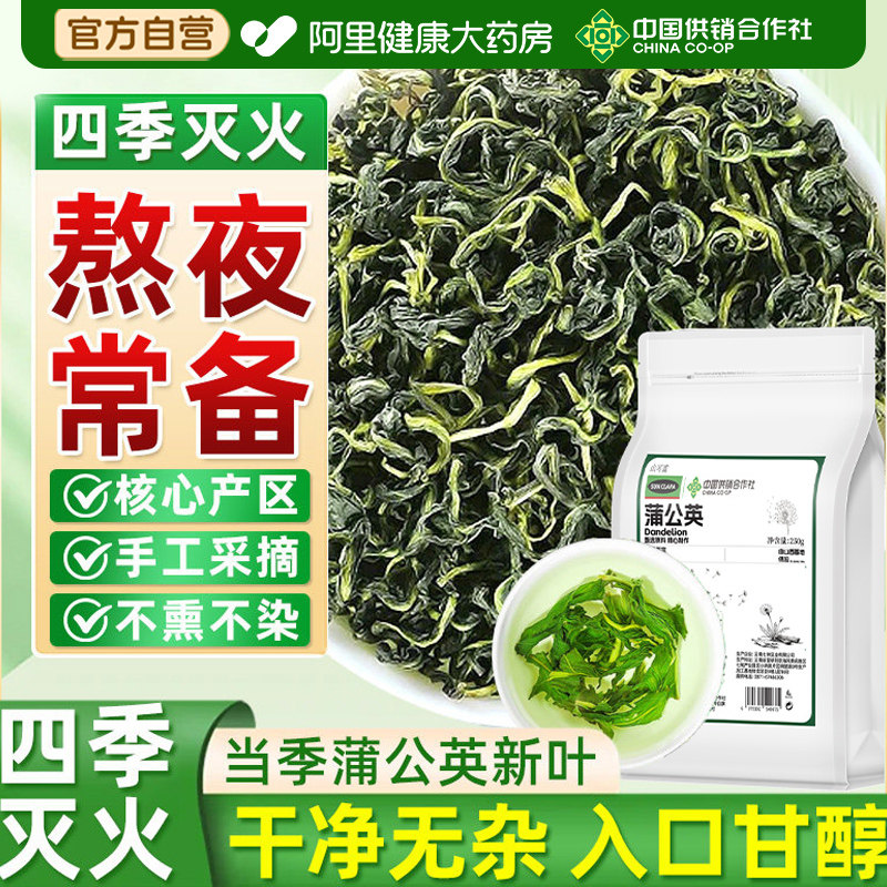 中国供销社蒲公英叶根特级去火当季中草药材泡散茶水正品旗舰店