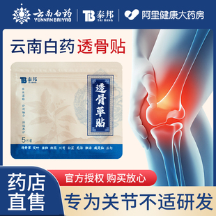 透骨草贴肩颈腰椎膝盖肘关节手腕热敷贴家用全身可用 云南白药正品