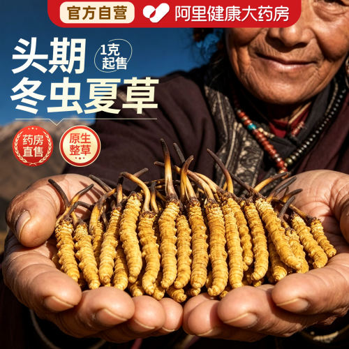 阿里健康大药房官方正品冬虫夏草