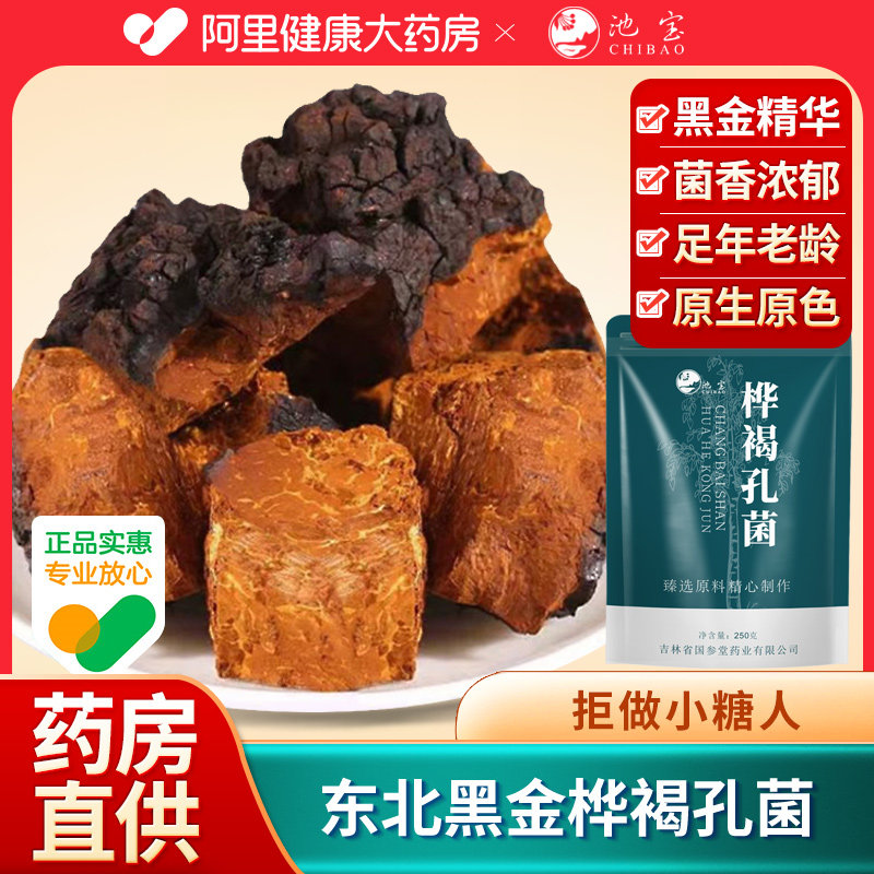 桦树茸白桦褐孔菌东北长白山黑金颗粒块养生茶中药材官方正品野生