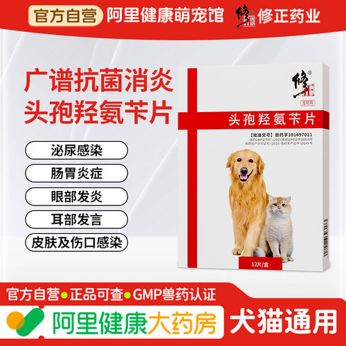 修正头孢羟氨苄片狗狗专用消炎药猫咪宠物感冒药打喷嚏流鼻涕感染