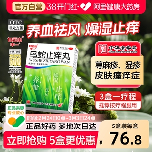 白云山中一乌蛇止痒丸6袋止痒药膏皮炎荨麻疹丸湿疹口服皮肤瘙痒