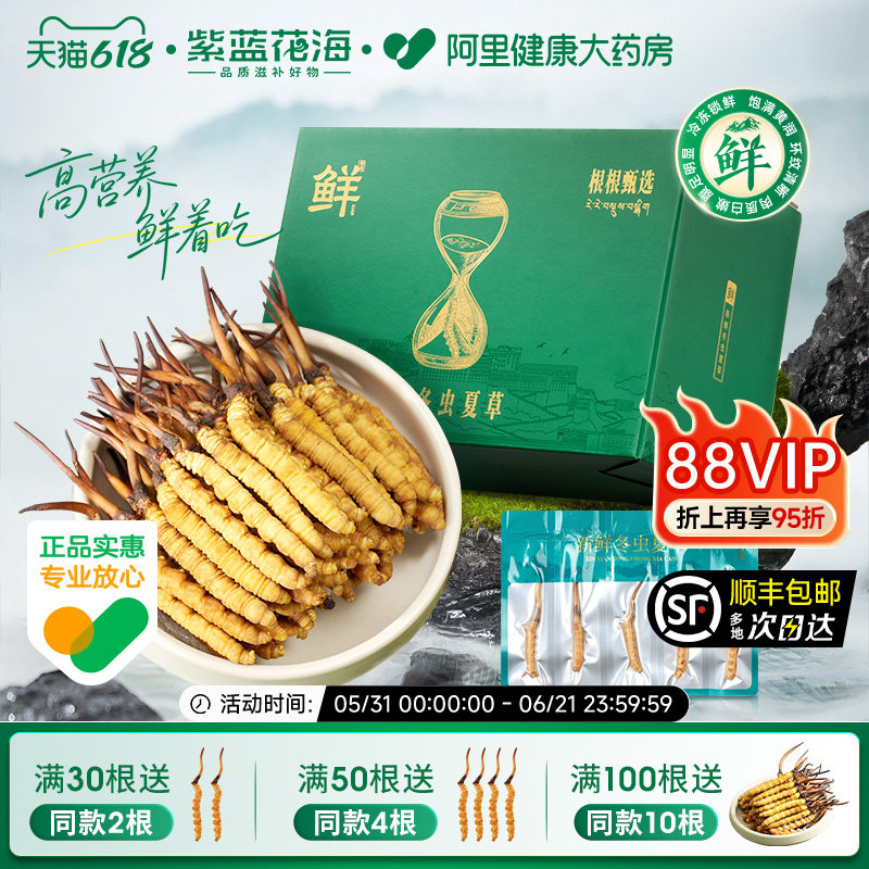 【2026头茬鲜虫草】新鲜冬虫夏草0.6克/根起滋补泡水正品礼盒装