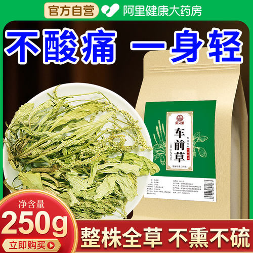 承义堂车前草利尿消肿带穗高品质