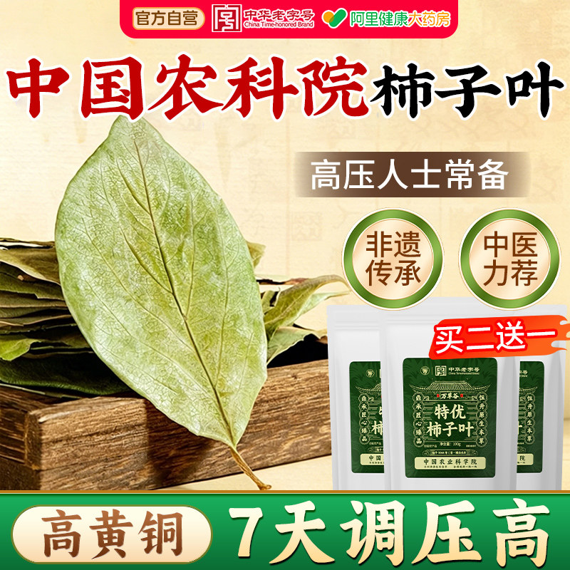 特级干柿子叶降霜后血三高茶官方正品旗舰店压天然野生中药材