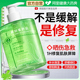 医冷用敷芦荟胶晒后修复保湿 补水舒缓褪红凝胶男女士专用官方正品