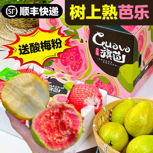 旗芭芭乐水果新鲜包邮