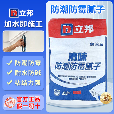 立邦防潮防霉腻子粉内墙家用抗碱耐水腻子墙面翻新找平大白粉修补