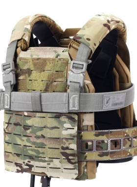 【ABTGEAR】SPIDER繩降專用防彈板攜行戰術背心 SRPC02