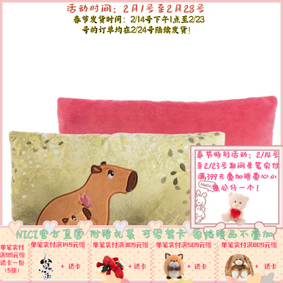 德国 NICI Basic Capybara  Green 水豚矩形靠垫 43x25cm