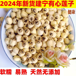 2025年新品特级天然福建农家手工建宁带心莲子实心有心莲子500克