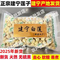 2025年福建建宁莲子去皮去心无芯带心有心农家手工白莲子干货500g