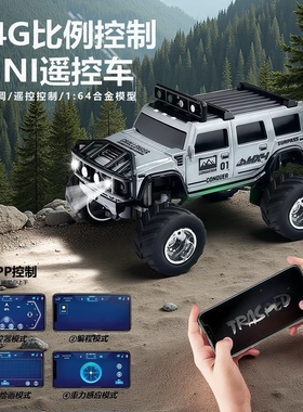 玩40分钟合金遥控车1:64迷你双模越野车儿童玩具车带减震灯光充电