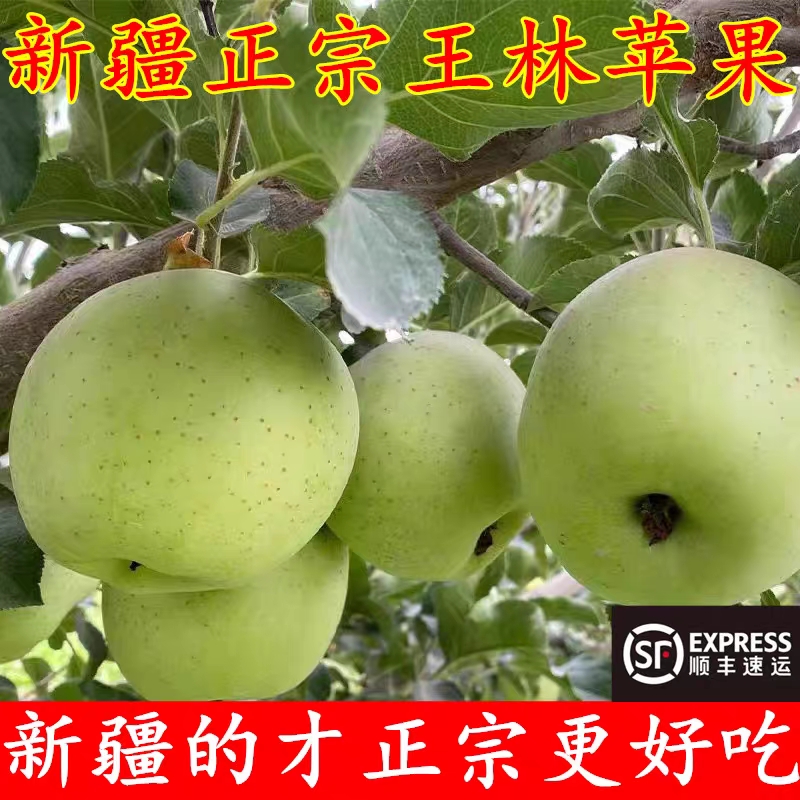 圣诞节正宗新疆阿克苏王林青森奶油苹果当季盒包装水果箱包装箱子