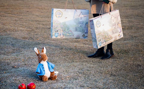 t比得兔商场专柜手提袋