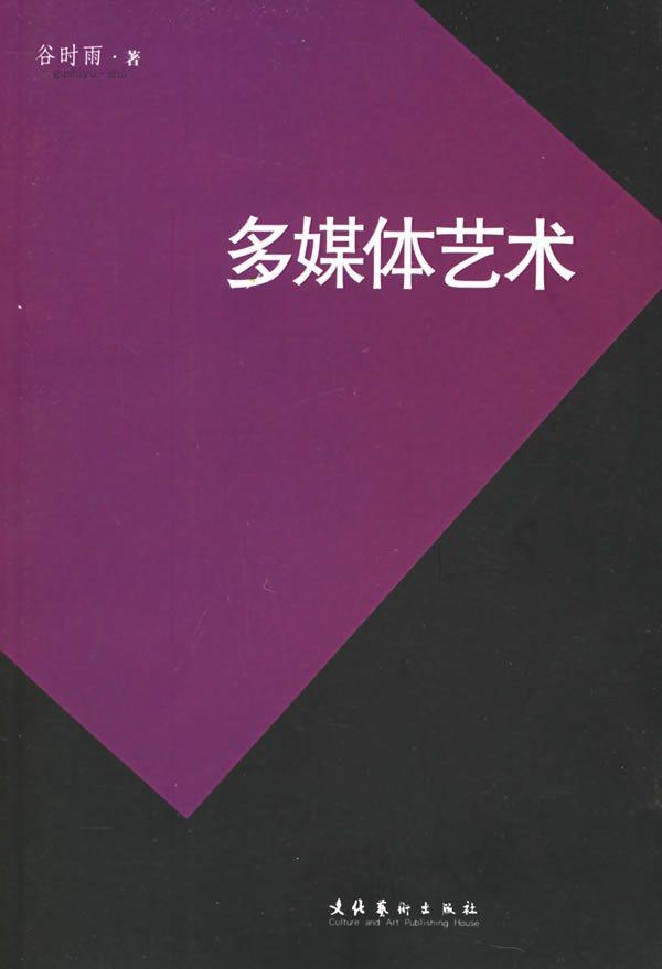 正版 多媒体艺术