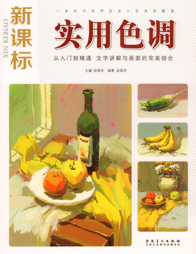 正版新课标 实用色调 从入门到精通文字讲解色彩步骤范画临摹初级水粉