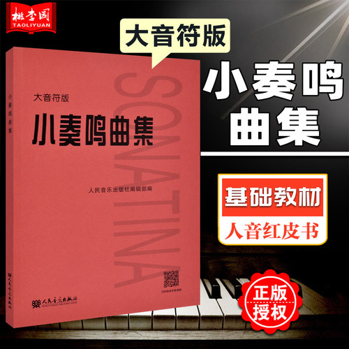 正版小奏鸣曲集 大音符版  扫码体验专家课程 人民音乐出版社 钢琴初步教程 钢琴教材 钢琴谱初学入门教学用书