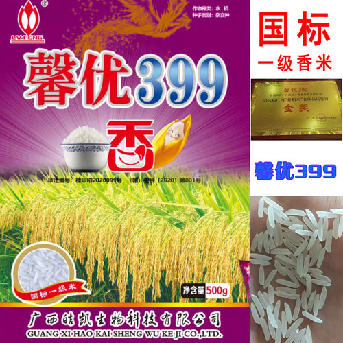 杂交品种水稻种子馨优399软糯型