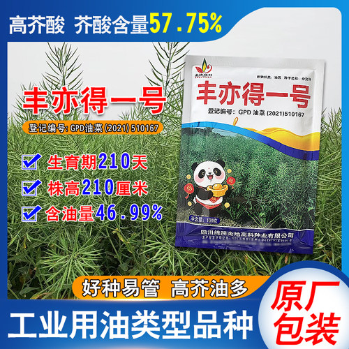秋季高芥酸油菜种子丰亦得一号菜籽种子原装工业用油类型品种