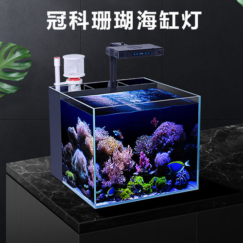 冠科珊瑚灯海水灯咨询更优惠