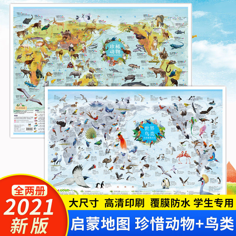 2张珍稀动物世界鸟类墙贴儿童房大尺寸少儿地图纸质版儿童地理启蒙知识卡通益智科普百科画小学生趣味地图 教孩子认识了解保护动物