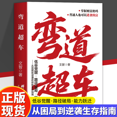 弯道超车 低谷觉醒路径破局 打破低谷内耗 重塑成长心态 升级核心能力解锁逆袭密码 让低谷成为你的超车起点普通人也可以逆袭致富