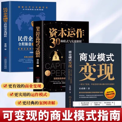3册 商业模式变现+资本运作30种模式与实战解析+民营企业融资全案操盘及案例解析 企业管理商业思维模式