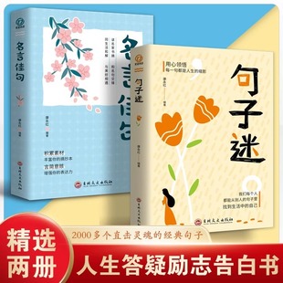 优美句子积累大全小学生名人名言书经典 句子迷名言佳句 一句顶一万句名言佳句辞典好词好句好段大全小学版 句子迷珍藏全集正版 语录