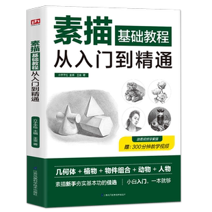正版绘画素描基础教程从入门到精通 自学零基础入门 速写人物教程漫画教程书入门书籍静物风景几何石膏体人物素描书入门自学零基础