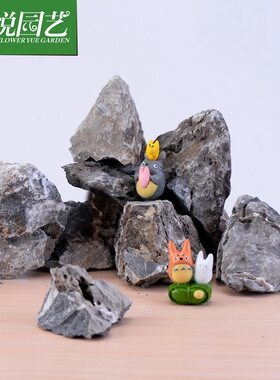 温馨e园 苔藓微景观生态瓶装饰品 青龙石 假山 石头 DIY组装摆件