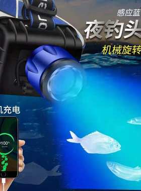 夜钓灯蓝光超亮头灯白蓝双光源可充电大功率500米远射矿灯钓鱼LED