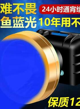 蓝光头灯强光可充电大容量夜
