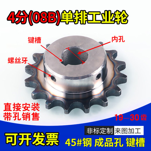 标准件4分链轮08b齿轮