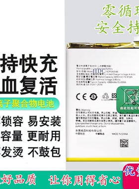 适用OPPO R15X/R15Pro/K1手机电池 R15pro电池 BLP689/BLP659电板